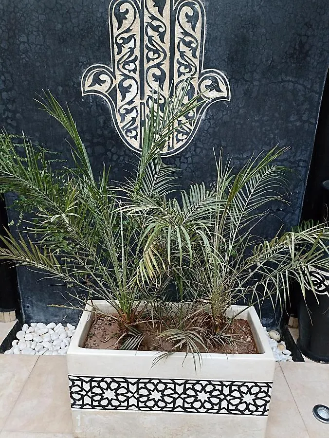 Riad Excellence Marrakesh Morocco